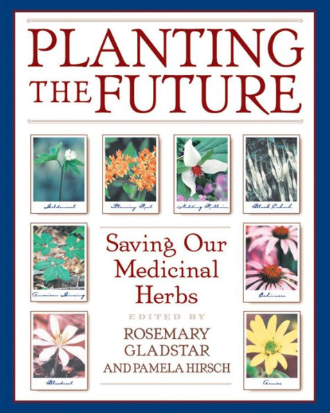 Planting the Future: Saving Our Medicinal Herbs