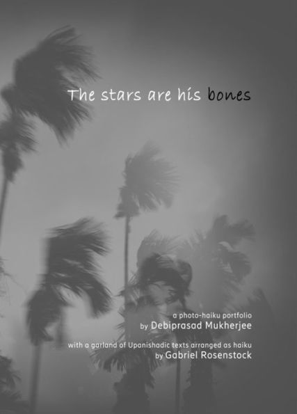 The stars are his bones: an atmospheric photo-haiku monograph with Upanishadic extracts