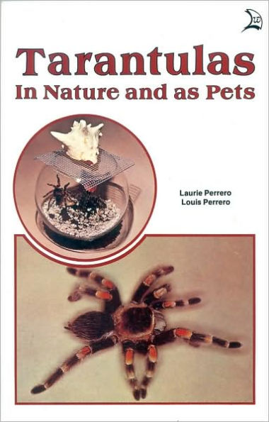 Tarantulas in Nature and As Pets