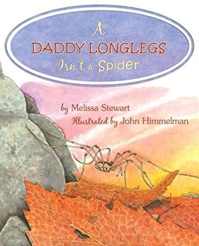A Daddy Longlegs Isn't a Spider