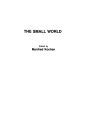 The Small World: A Volume of Recent Research Advances Commemorating Ithiel de Sola Pool, Stanley Milgram, Theodore Newcomb