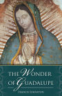 The Wonder of Guadalupe