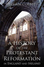 A History Of The Protestant Reformation In England And Ireland