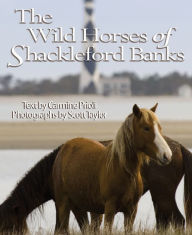 Title: The Wild Horses of Shackleford Banks, Author: Carmine Prioli