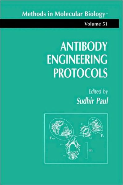 Antibody Engineering Protocols / Edition 1
