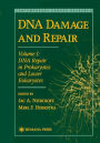 DNA Damage and Repair: Volume I: DNA Repair in Prokaryotes and Lower Eukaryotes / Edition 1
