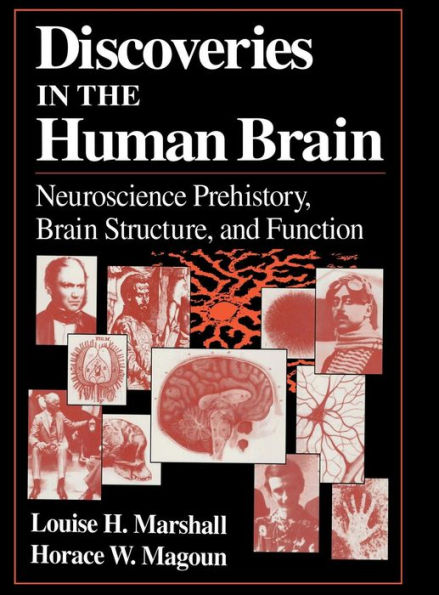 Discoveries in the Human Brain: Neuroscience Prehistory, Brain Structure, and Function / Edition 1