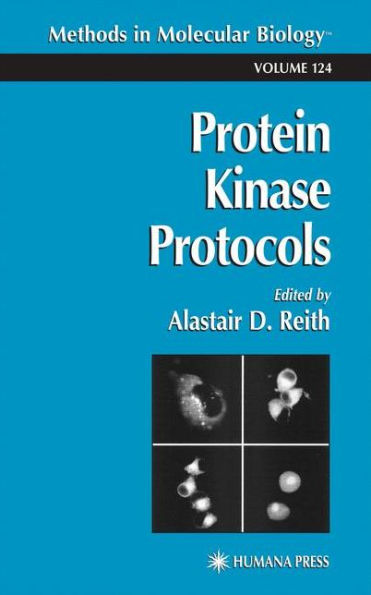 Protein Kinase Protocols / Edition 1