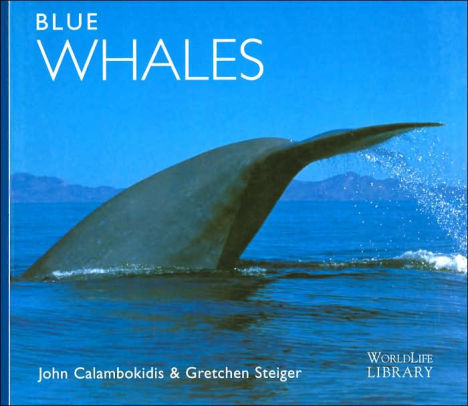 Blue Whales Worldlife Library Series By John Calambokid