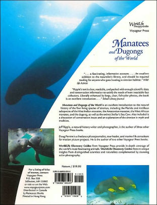 Manatees And Dugongs Of The World Worldlife Discovery