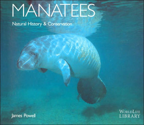 Manatees Natural History Amp Conservation Worldlife