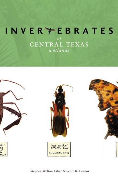 Invertebrates of Central Texas Wetlands