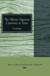 Title: African American Experience in Texas: An Anthology, Author: Bruce A. Glasrud