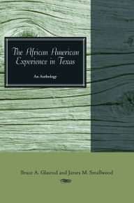 Title: The African American Experience in Texas: An Anthology, Author: Bruce A. Glasrud