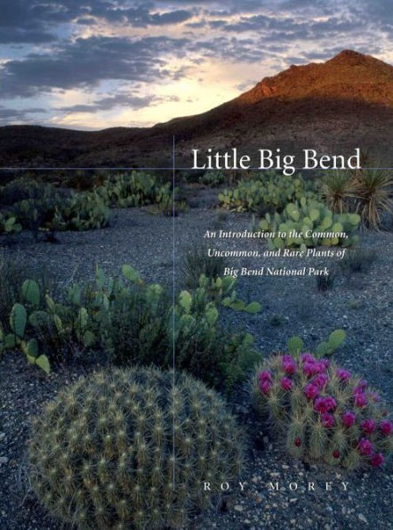 Little Big Bend: Common, Uncommon, and Rare Plants of Big Bend National Park