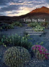 Title: Little Big Bend: Common, Uncommon, and Rare Plants of Big Bend National Park, Author: Roy Morey