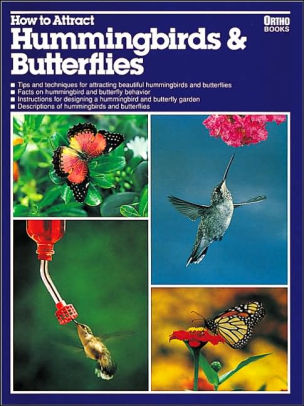 How To Attract Hummingbirds And Butterflies By Ortho Books