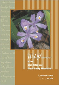 Title: Wildflowers of Blue Ridge and Great Smoky Mountains, Author: Leonard Adkins