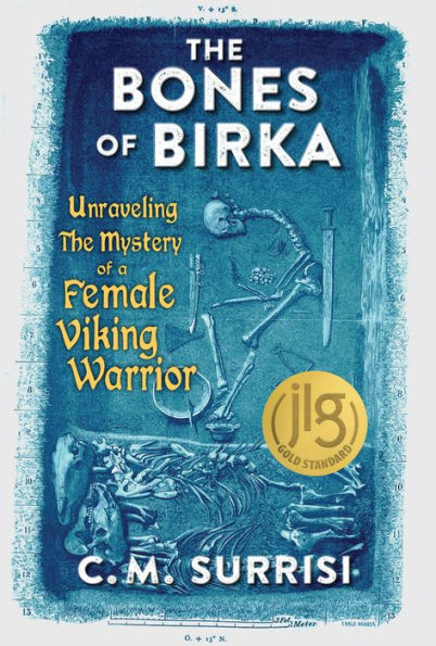 The Bones of Birka: Unraveling the Mystery of a Female Viking Warrior