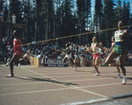 Alternative view 4 of The Track in the Forest: The Creation of a Legendary 1968 US Olympic Team