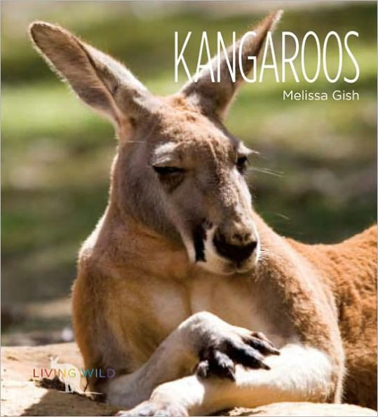 Kangaroos