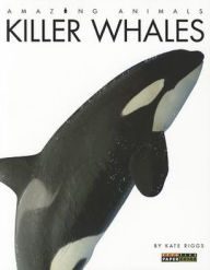 Killer Whales (Amazing Animals Series)