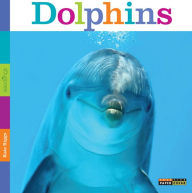 Title: Dolphins, Author: Kate Riggs