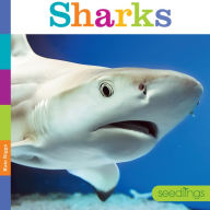 Title: Sharks, Author: Kate Riggs