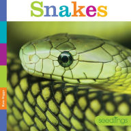 Title: Snakes, Author: Kate Riggs