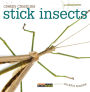 Stick Insects (Creepy Creatures Series)