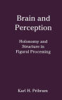 Brain and Perception: Holonomy and Structure in Figural Processing / Edition 1