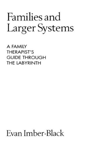 Families and Larger Systems: A Family Therapist's Guide through the Labyrinth / Edition 1