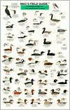 Title: Mac's Field Guide to Water Birds of the Northeast Coast, Author: Craig MacGowan