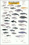 Title: Mac's Field Guide to Marine Mammals of North America, Author: Craig MacGowen