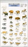 Title: Mac's Field Guide to Land Mammals of North America, Author: Craig Macgowan