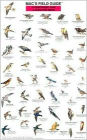 Mac's Field Guide to Northwestern Park and Backyard Birds