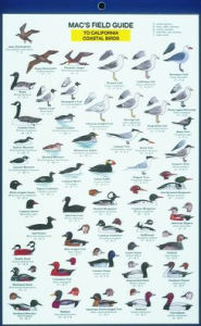 Title: Mac's Field Guide to California Coastal Birds, Author: Craig Macgowan