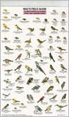 Title: Mac's Field Guide to Northern California Park Backyard Birds, Author: Craig MacGowan