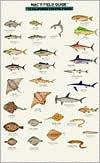 Title: California Coastal Fish, Author: Craig MacGowan