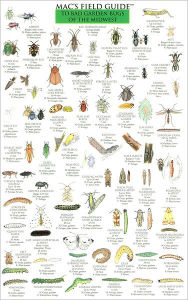 Title: Mac's Field Guide to Bad Garden Bugs of the Midwest, Author: Craig MacGowan