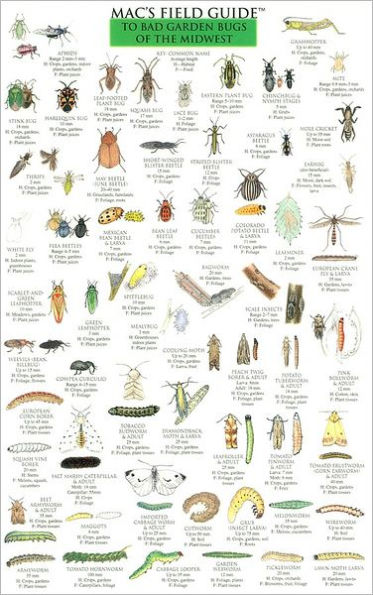 Mac's Field Guide to Bad Garden Bugs of the Midwest