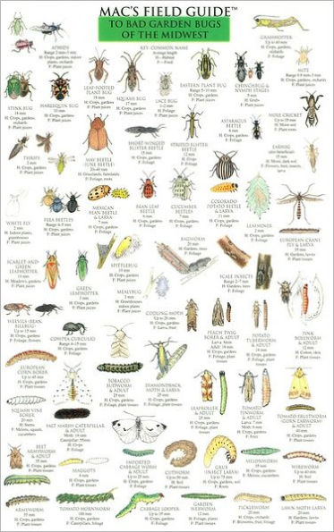 Mac's Field Guide to Bad Garden Bugs of the Midwest by Craig MacGowan ...