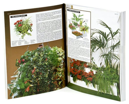 the-house-plant-expert-by-d-g-hessayon-d-g-hassayon-paperback