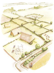 Title: The Rural Settlement of Roman Britain: New Visions of the Countryside of Roman Britain, Volume 1, Author: Alexander Smith