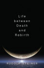 Life between Death and Rebirth