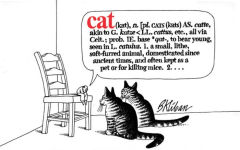 Alternative view 1 of Cat