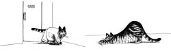 Alternative view 3 of Cat