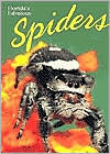 Title: Florida's Fabulous Spiders (and Their Relatives), Author: World Publications