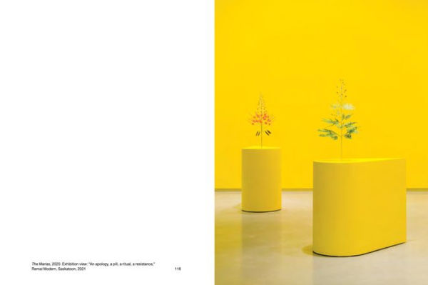 Kapwani Kiwanga: Off-Grid