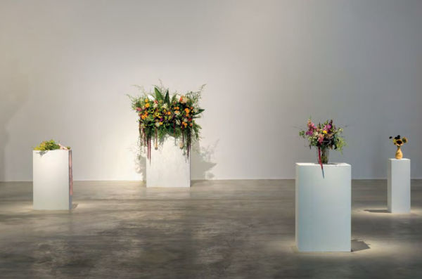 Kapwani Kiwanga: Off-Grid